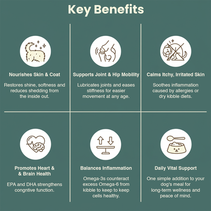 GoodlySupps Omega - Dog Care Food